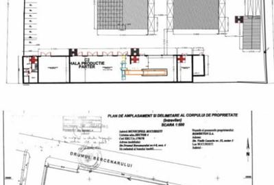 Platforma industriala, 7000 mp teren asfaltat + 1000 mp Hala - 1