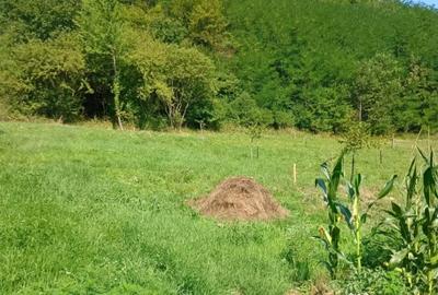 Teren de 1084 mp, în Bejan - 1