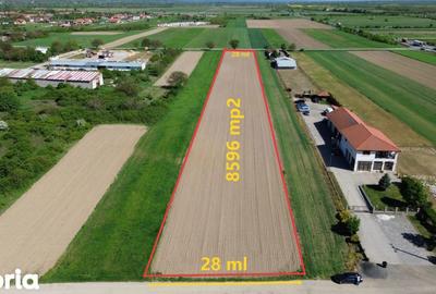 Teren de 8596 mp, în Gavojdia