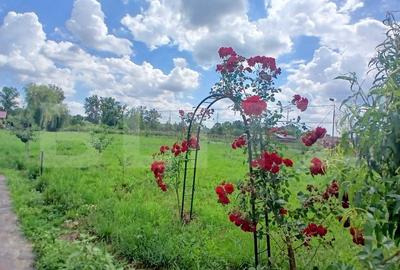 Casa superba in Tinca, 225 mp, 20 ari luciu de apa, teren fotbal, spatii verzi - 2