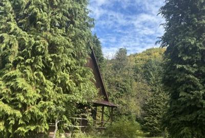 Cabana de vanzare  Firiza - 6