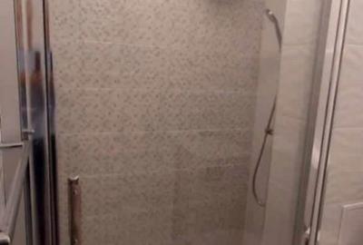 Apartament cu 2 camere, mobilat în Seleuș - 11