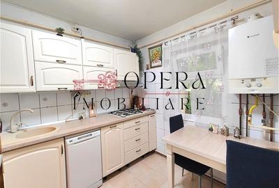 Apartament cu 4 camere decomandat, mobilat în Canta - 9