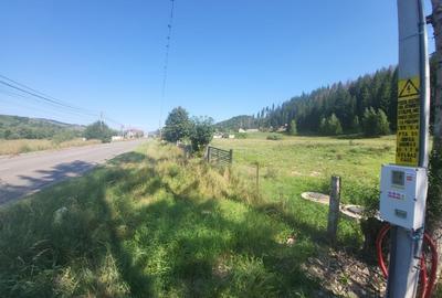 Teren Construcții intravilan de 5000 mp, în Nord - 6