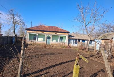 Casa in Sat Segarcea Deal jud. Teleorman - 5