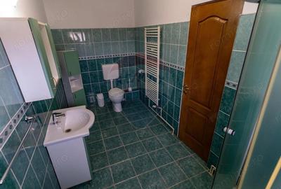 Vila /Pensiune 6 camere in Cristur, jud Hunedoara - 20