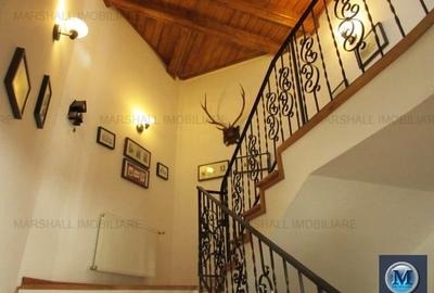 Vila cu 6 camere de vanzare, zona Albert, 355.63 mp #14354 - 11