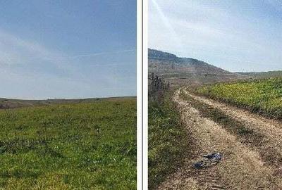 Teren extravilan sat Mineri, ID: R2376975 - 3