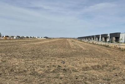 Teren de 16248 mp, în Domnești - 3