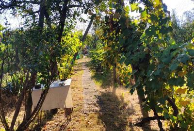 Casă cu 3 camere în Cantemir - 7