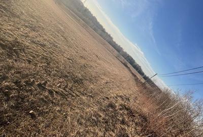 Spațiu comercial, în Șinteu - 5