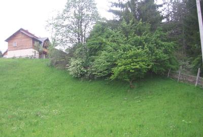 Teren intravilan Valea Doftanei - 3