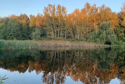 Teren de 5000 mp, în Ostrovu Corbului - 10