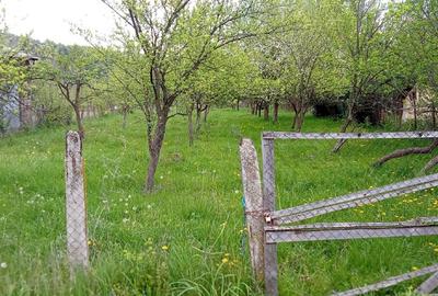 Teren Construcții intravilan de 1800 mp, în Valea Siliștii - 1