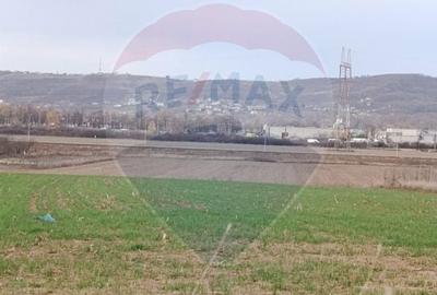 Teren Construcții intravilan de 2374 mp, în Cheriu - 5