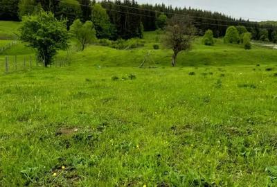Teren de 3465 mp, în Trăisteni - 6