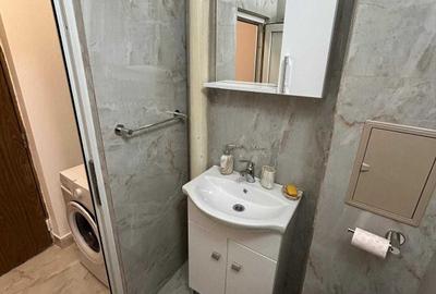 Garsoniera prima chirie Pta Alba Iulia - Muncii DB1319 - 7