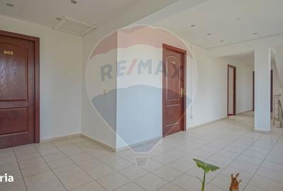Spațiu comercial, de 4,120 mp, în Central - 11