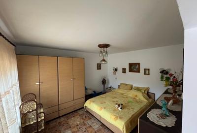 Casa+teren  Serbanesti - 6