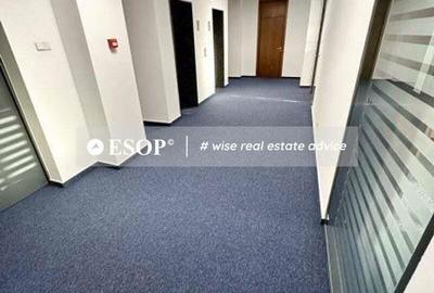 0% comision! Inchiriere birouri Gara de Nord, 340 - 1020mp, ID 15054 - 2