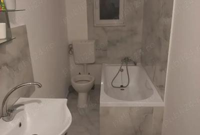 Vand casa Lozna jud Salaj - 10