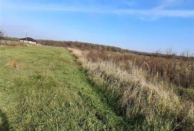 RECO Teren Intravilan Apateu - 3