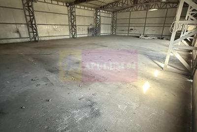 Spațiu industrial, de 330 mp, în Sud - 5