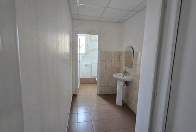 Birou, de 140 mp, în Careiului - 8