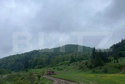 Teren intravilan 20.000 mp, zona Soarecului, Marginea - 2