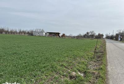 Teren de 1500 mp, în Nuci - 5