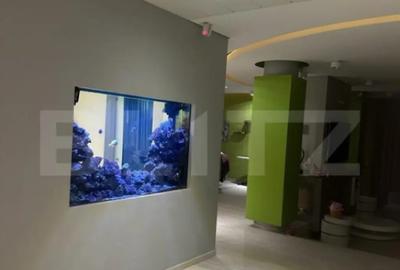 Casă cu 8 camere cu Teren 2300 Mp în Lunei - 15