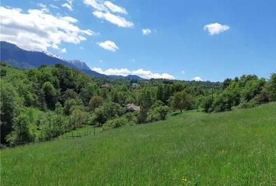 Spațiu comercial, în Sohodol - 3