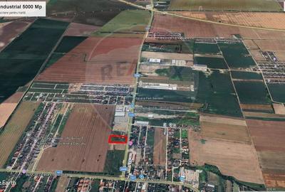 Teren 5.000mp Balotesti cu autorizatie hala - 6
