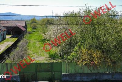 Spațiu comercial, în Chichiș - 1