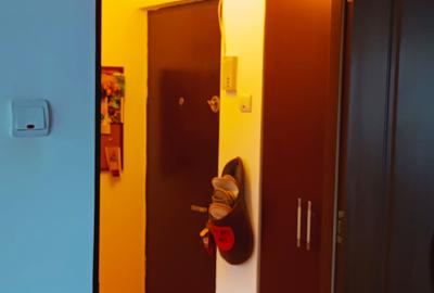 Apartament cu 2 camere semidecomandat, mobilat în Olteniței - 12