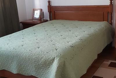 Casă cu 7 camere cu Teren 330 Mp în Ultracentral - 10