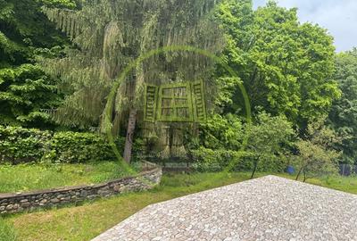 Duplex deosebit cu vedere panoramica spre munti si padure – Tocile, Sadu - 17