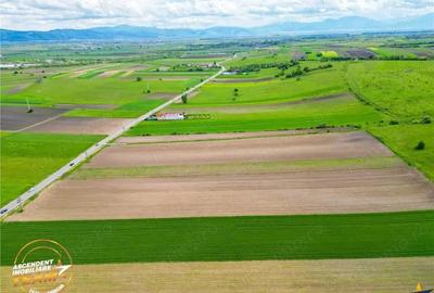 FILM! Teren intravilan industial, cu PUZ si acces la DJ112, Sfantu Gheorghe - 6