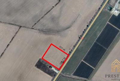 Oportunitate investitie- Teren Intravilan 2 HA pe DN79 Oradea-Salonta - 2