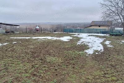 Teren de 600 mp, în Mineri - 6