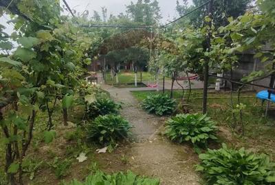 Casa de vanzare in Recea - 5