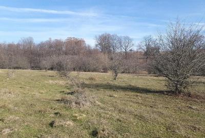 Teren de 4100 mp, în Vlădeni - 7