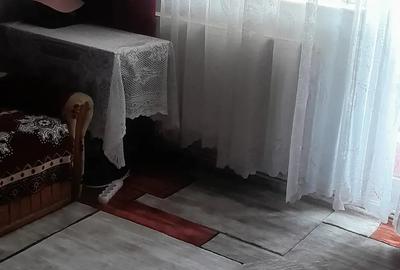 Vand apartament cu 2 camere Turda,Oprisani - 6