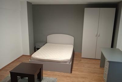 Apartament cu o camera, mobilat si utilat Intre Lacuri - 4