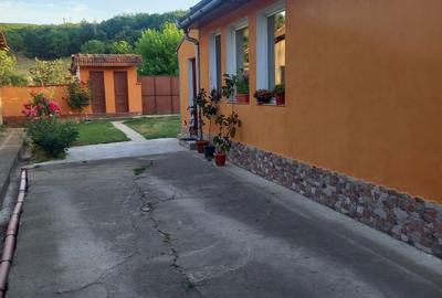Casă cu 2 camere în Fiziș - 3