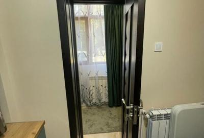 Apartament cu 3 camere decomandat în Craiovița Nouă - 8