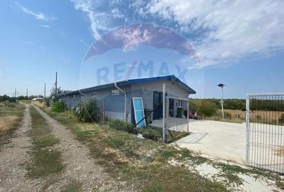 Teren cu hala, Bucsani, Crevedia / DN 61 (A1, A0) 40 Km ... - 17