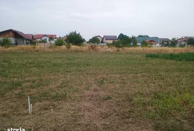 Teren de 600 mp, în Domnești - 6