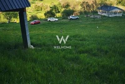 Teren Construcții intravilan de 5129 mp, în Bradu - 5