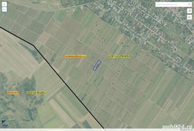 Teren de 5000 mp, în Slobozia Bradului - 1